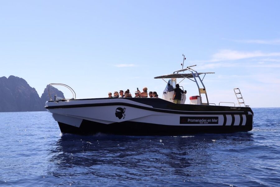 Calvi to Scandola: 4-Hour Boat Tour - Practical tips for a smoother four hours