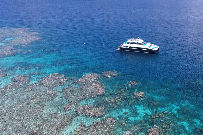 Calypso Outer Great Barrier Reef Cruise from Port Douglas - Three reef sites make this day worthwhile