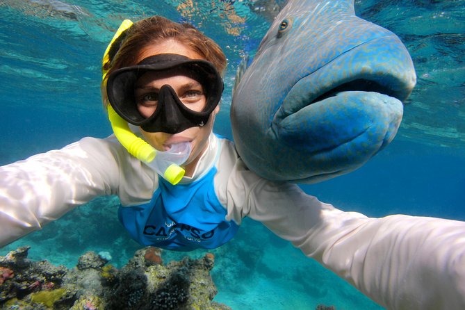 Calypso Outer Great Barrier Reef Cruise from Port Douglas - Second stop: guided snorkeling before lunch
