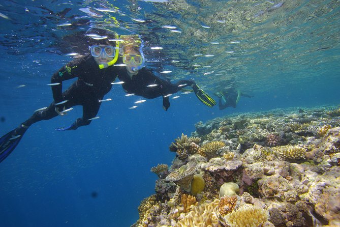 Calypso Outer Great Barrier Reef Cruise from Port Douglas - Lunch and the reef talk on board