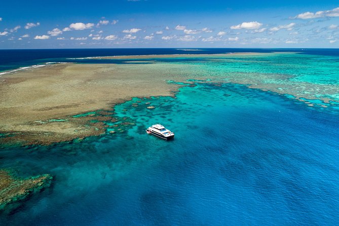 Calypso Outer Great Barrier Reef Cruise from Port Douglas - Crew support is a major strength