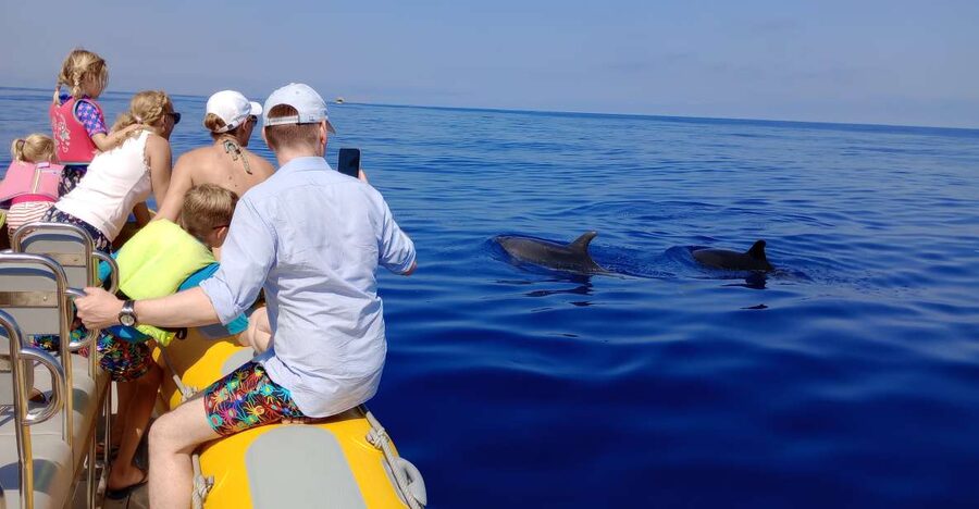 Can Picafort: Dolphin Watching Boat Tour, Swimming stop - Sunrise departures give the trip a special start