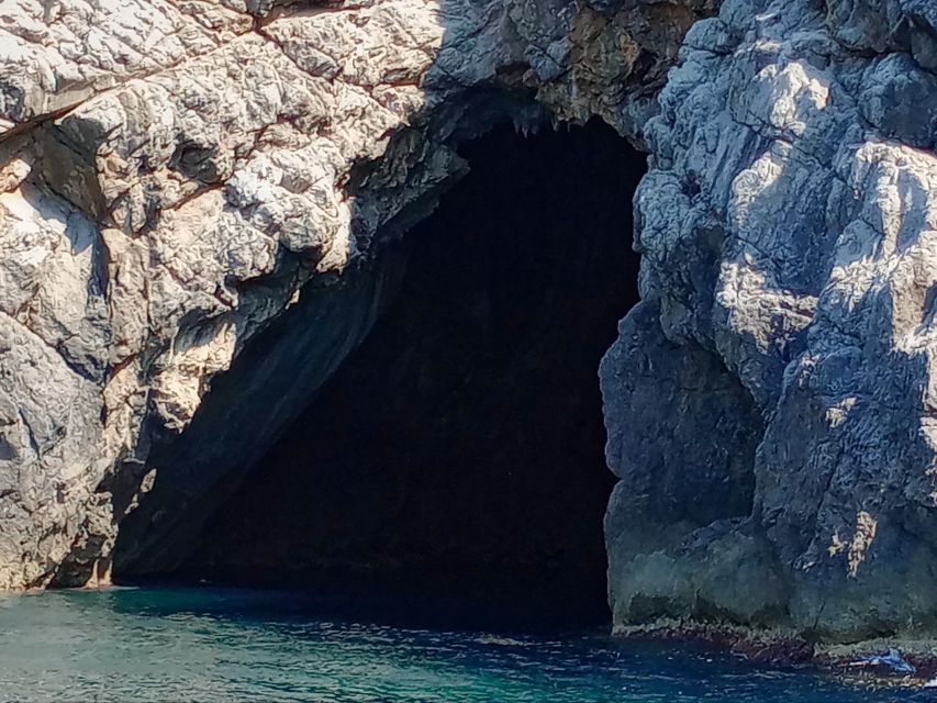 Can Picafort: Dolphin Watching Boat Tour, Swimming stop - How the guides shape the experience