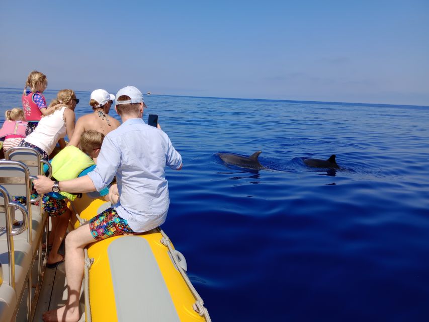 Can Picafort: Dolphin Watching Boat Tour, Swimming stop - The small RIB makes the ride personal, but lively