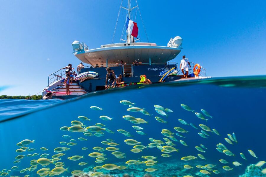 Cannes: Half-Day Catamaran Cruise - Sailing the Bay of Cannes