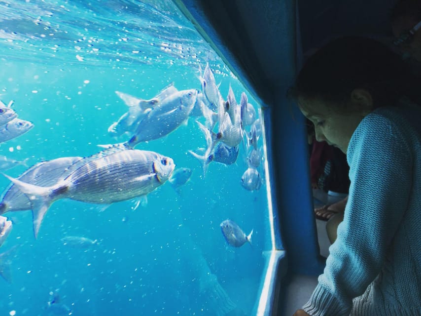 Cap Norfeu: Costa Brava Catamaran Trip with Underwater Views - The underwater viewing stop