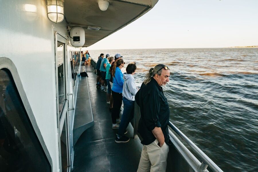 Cape May: Cape May Island Sunset Cruise & Dolphin Watching - Why the $40 price offers good value