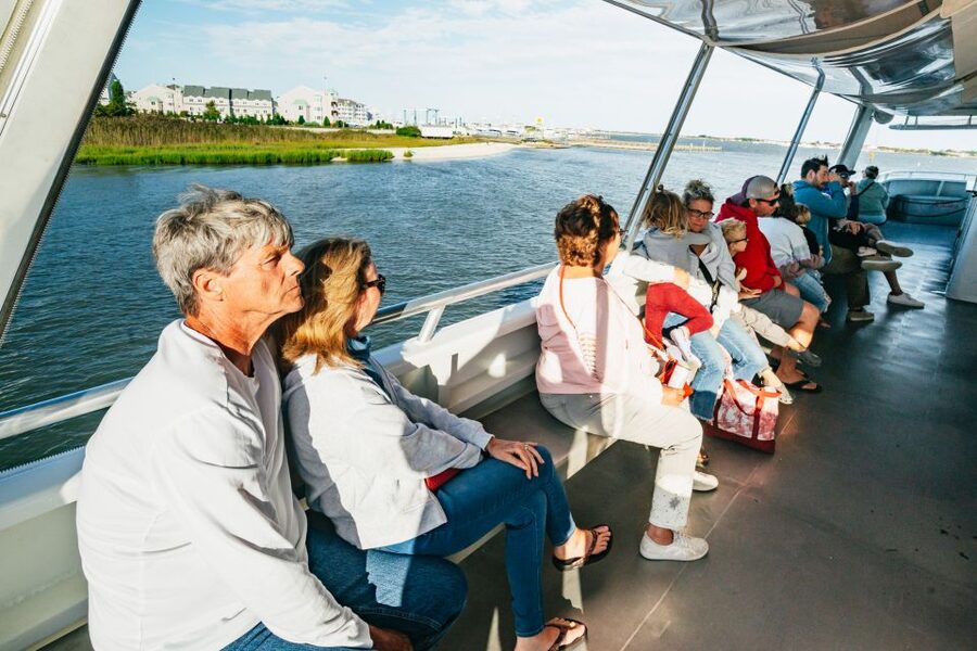 Cape May: Cape May Island Sunset Cruise & Dolphin Watching - Who will enjoy this cruise most