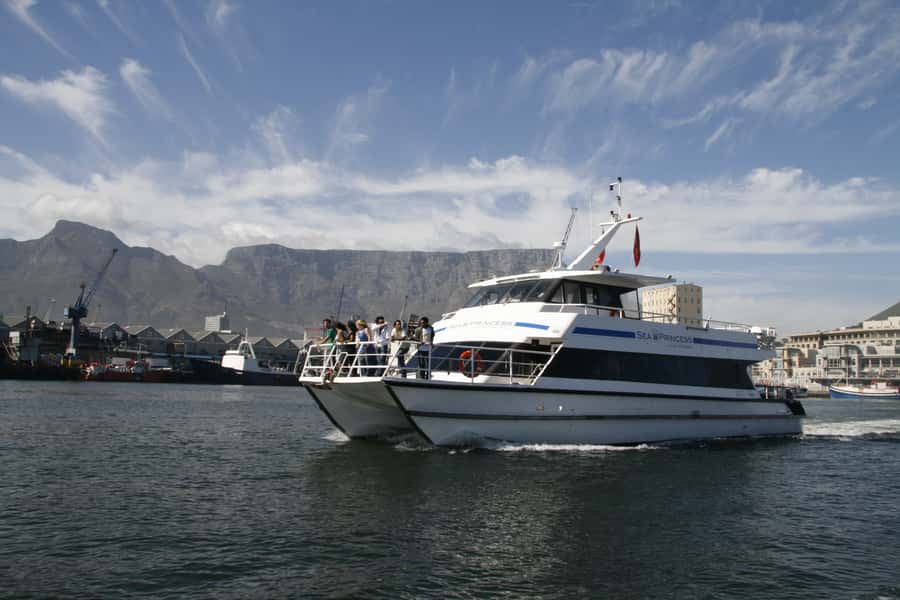 Cape Town: 1.5-Hour Luxury Sunset Cruise with Prosecco - Wildlife Along the Cape Coast
