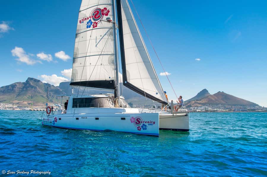 Cape Town: 1.5-Hour Luxury Sunset Cruise with Prosecco - The Catamaran Makes the Difference