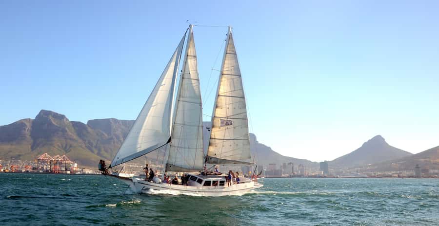 Cape Town: 1-Hour Pre-Sunset Champagne Cruise - Practical tips for a better hour