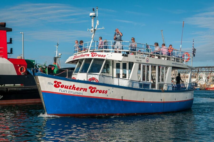 Cape Town: 30 Minute Harbour Boat Cruise with Seal Watching - A Short Cruise With a Big Cape Town Backdrop