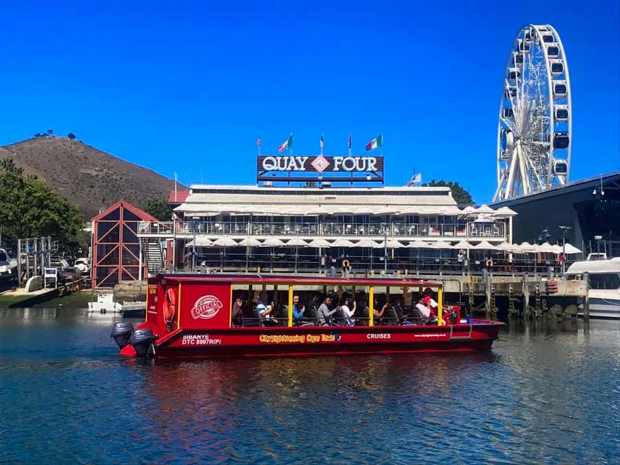 Cape Town: 30 Minute Seal-Watching Harbour Cruise - A quick harbour ride with a real Cape Town payoff