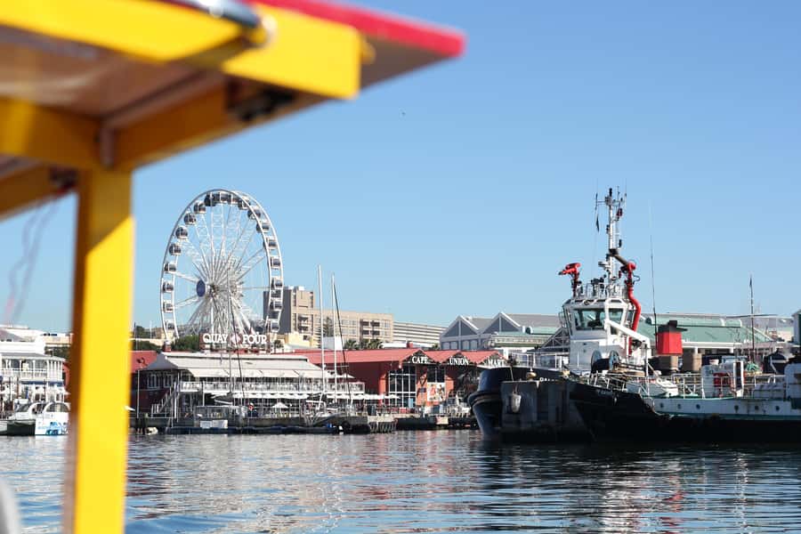 Cape Town: 30 Minute Seal-Watching Harbour Cruise - Table Mountain looks different from the water