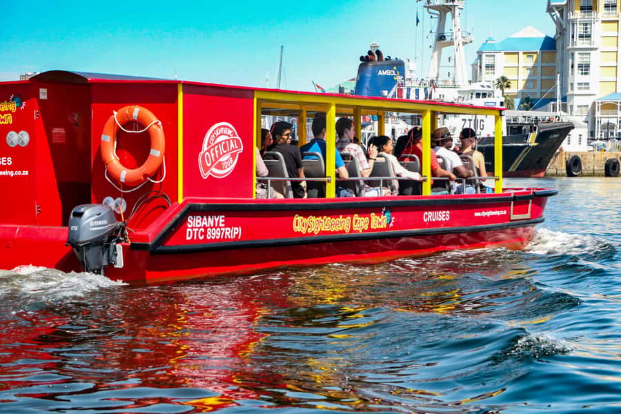Cape Town: 30 Minute Seal-Watching Harbour Cruise - Small details that improve the experience