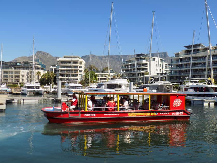 Cape Town: 30 Minute Seal-Watching Harbour Cruise - Starting outside the Two Oceans Aquarium