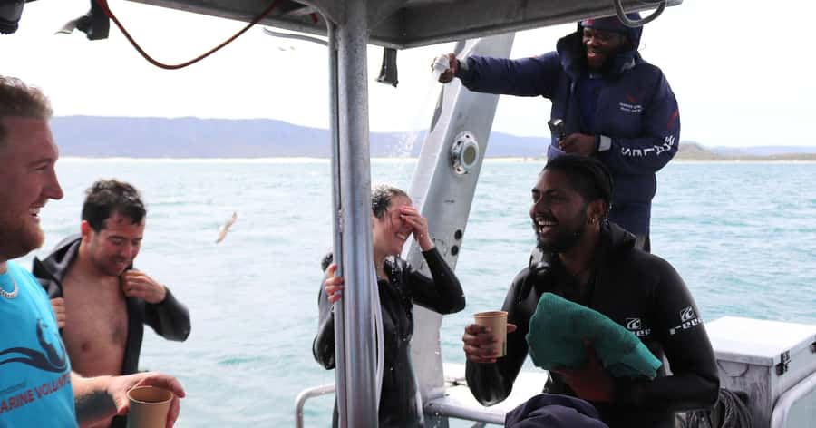 Cape Town: Gansbaai Eco-Friendly Shark Cage Diving Cruise - The conservation side of the experience