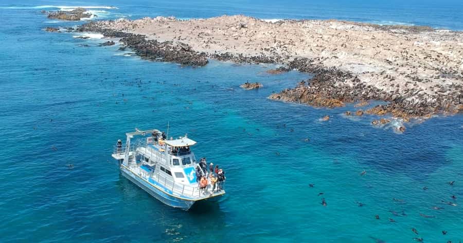 Cape Town: Gansbaai Eco-Friendly Shark Cage Diving Cruise - Final call: book it for the ocean, not a checklist