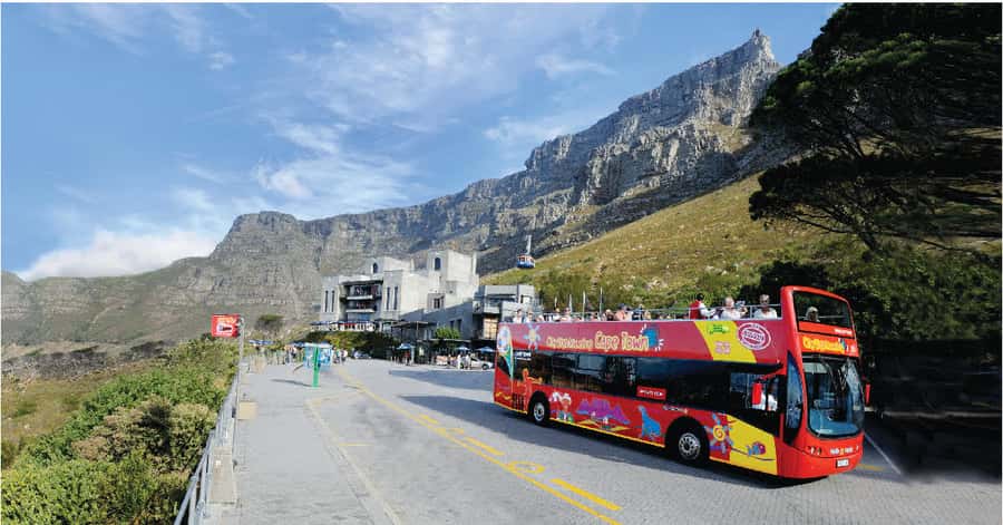 Cape Town: Hop-On Hop-Off Bus Tour with Optional Cruise - Key points to know before you book