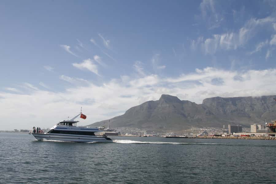 Cape Town: Scenic 1-Hour Coastal Catamaran Cruise - What the $25 price really buys you