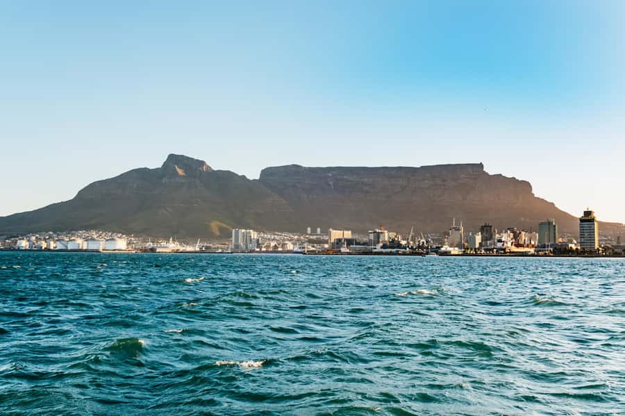 Cape Town: Sunset Catamaran Cruise on Table Bay with Bubbles - Who will enjoy this cruise most