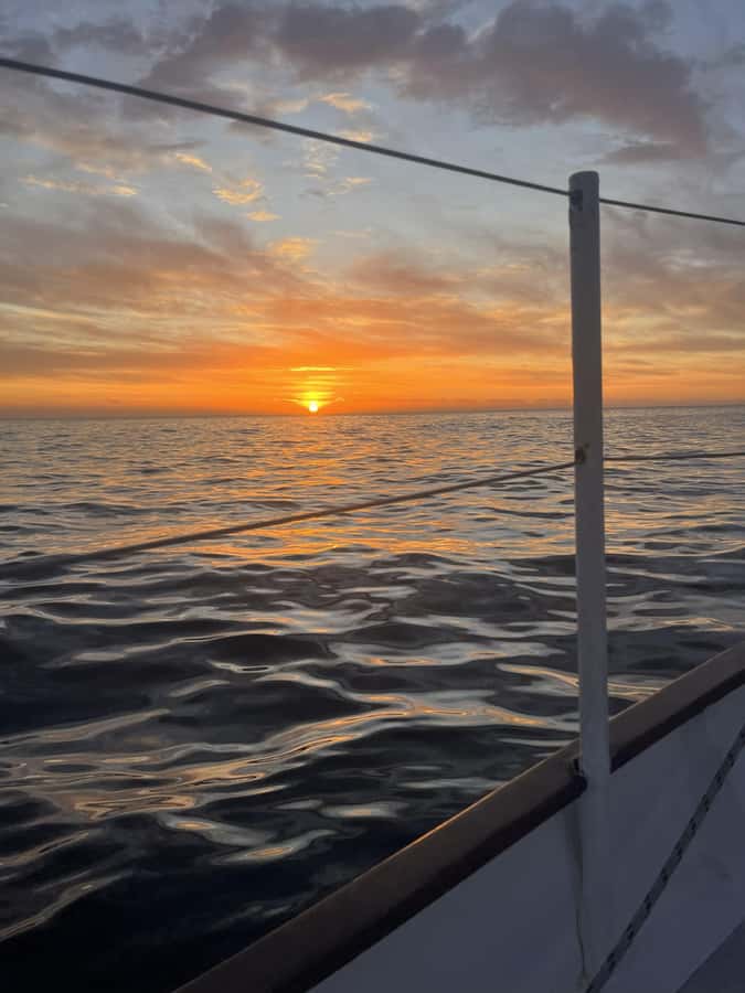 Cape Town: Sunset Cruise from V&A Waterfront with Bubbly - Who will enjoy this Cape Town cruise most