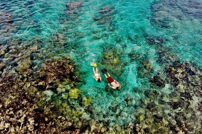 Captain Bob Speed Boat, Snorkeling, Beach Tour & Lunch St Maarten - Quick points before you book