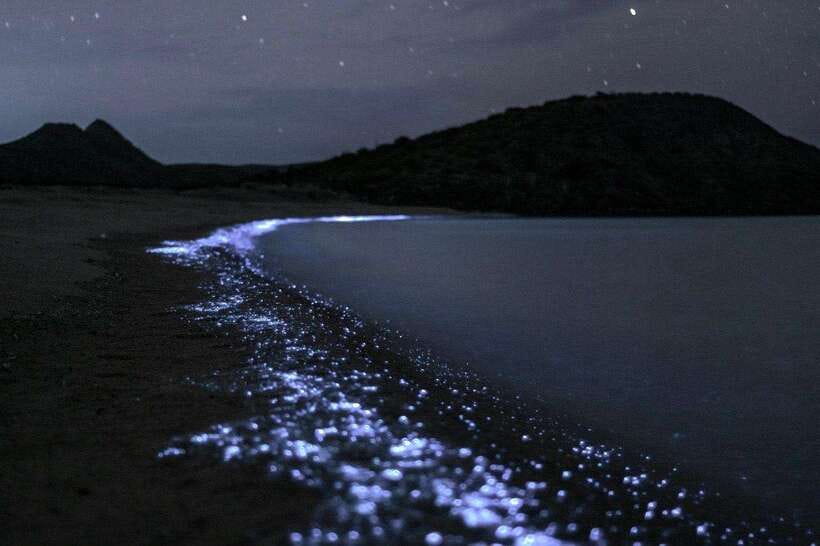 Cat Ba : Lan Ha Bay Bioluminescent Plankton Kayak Boat Tour - Key points at a glance