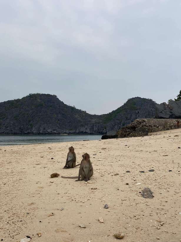 Cat Ba : Lan Ha Bay Bioluminescent Plankton Kayak Boat Tour - Cruising past the Floating Fisherman Village