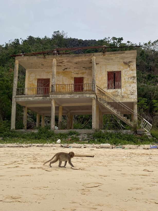 Cat Ba : Lan Ha Bay Bioluminescent Plankton Kayak Boat Tour - Monkey Island: monkeys, beach time, and a steep little climb