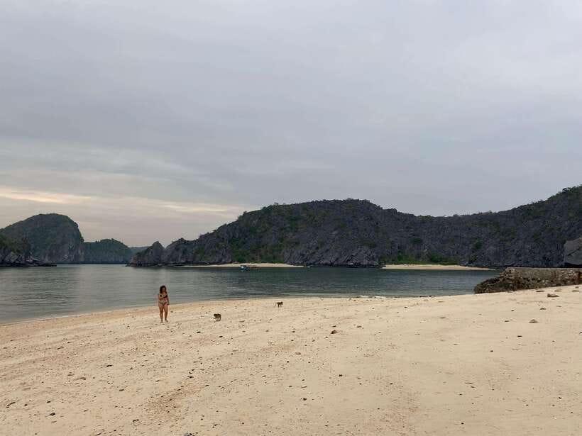 Cat Ba : Lan Ha Bay Bioluminescent Plankton Kayak Boat Tour - What the $36 price includes