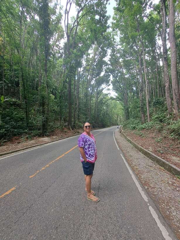 Cebu City: Bohol Countryside Tour with Loboc Cruise Lunch - The Mahogany Forest and rural Bohol