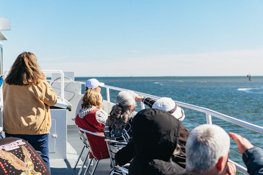 Charleston: Daytime or Sunset Historic Harbor Cruise - Forts, warships, and the city beyond the Civil War