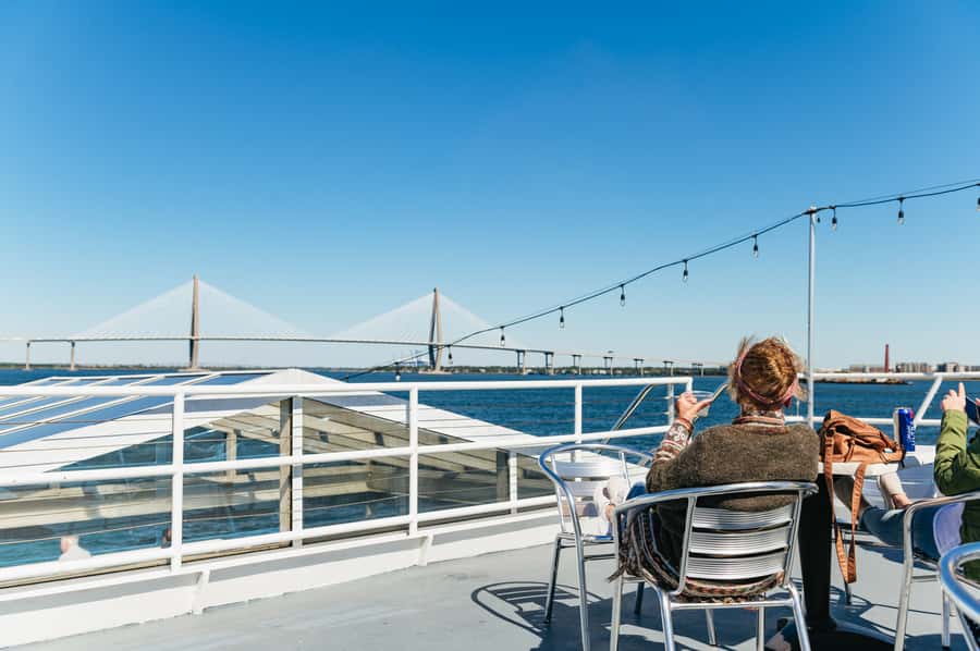 Charleston: Daytime or Sunset Historic Harbor Cruise - Dolphins and pelicans add an unscripted moment