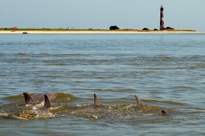 Charleston Eco Boat Cruise with stop at Morris Island Lighthouse - Packing for wind, sun, and sand