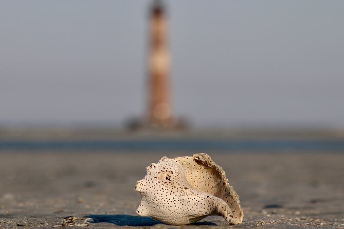 Charleston Eco Boat Cruise with stop at Morris Island Lighthouse - Should you book the Morris Island cruise?
