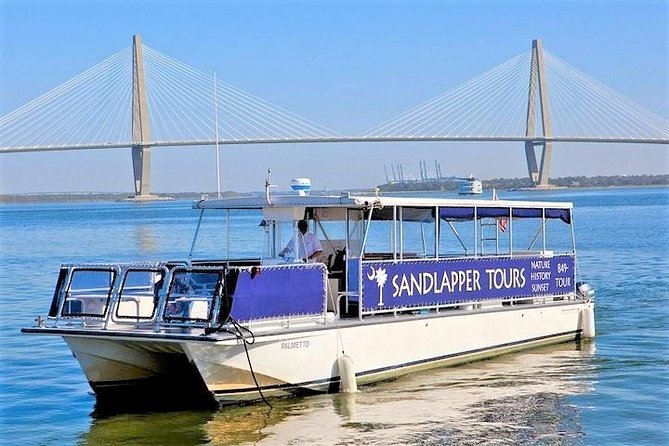 Charleston Harbor Sunset Cruise - Dolphins, sea birds, and the limits of wildlife viewing