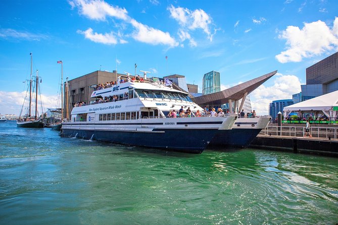 City Cruises Boston Whale Watching Cruise by High-Speed Boat - Stellwagen Bank and the Search for Whales