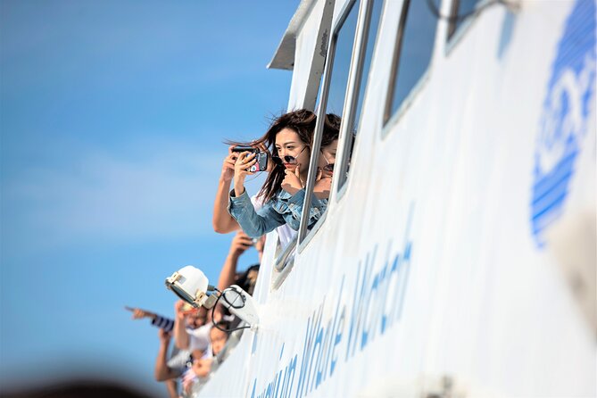 City Cruises Boston Whale Watching Cruise by High-Speed Boat - The Value of $85.56