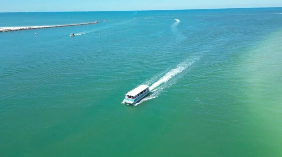 Clearwater Beach: Dolphin & Island Sandbar Cruise - Key points to know before booking