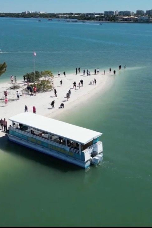Clearwater Beach: Dolphin & Island Sandbar Cruise - Finding dolphins in the Gulf