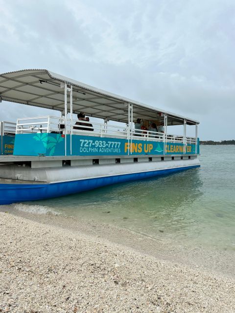 Clearwater Beach: Dolphin & Island Sandbar Cruise - One-Tree Island and the short sandbar swim