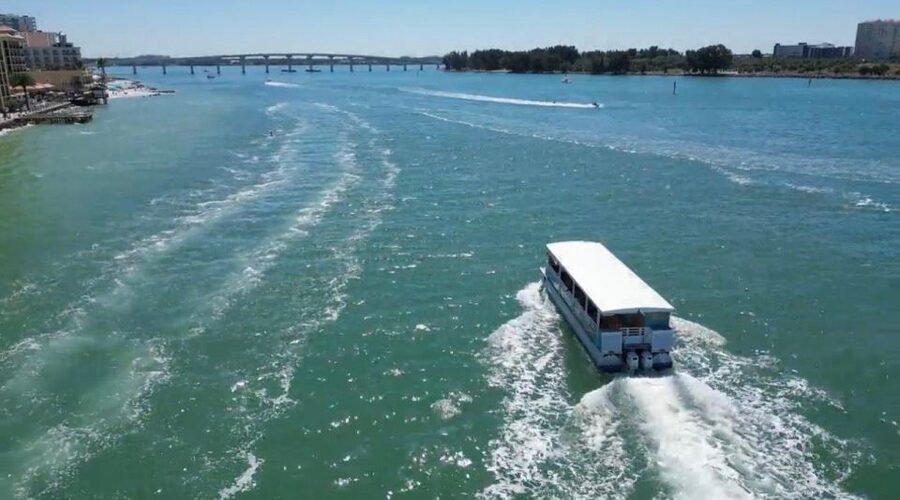 Clearwater Beach: Dolphin & Island Sandbar Cruise - Shade, coolers, and family-friendly extras
