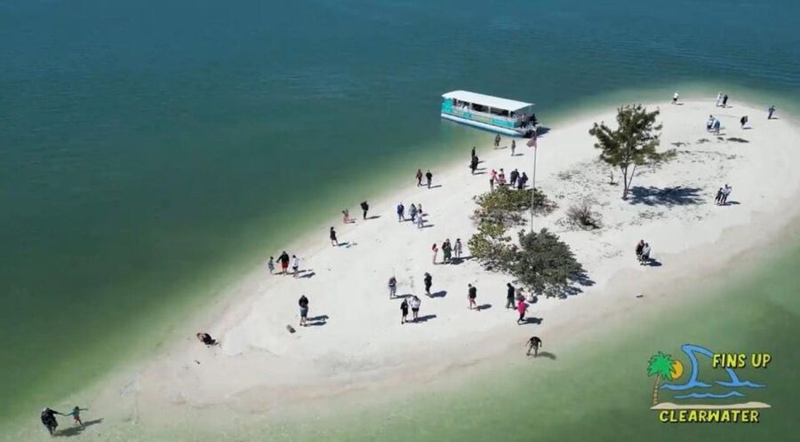 Clearwater Beach: Dolphin & Island Sandbar Cruise - Who will enjoy this Clearwater cruise?