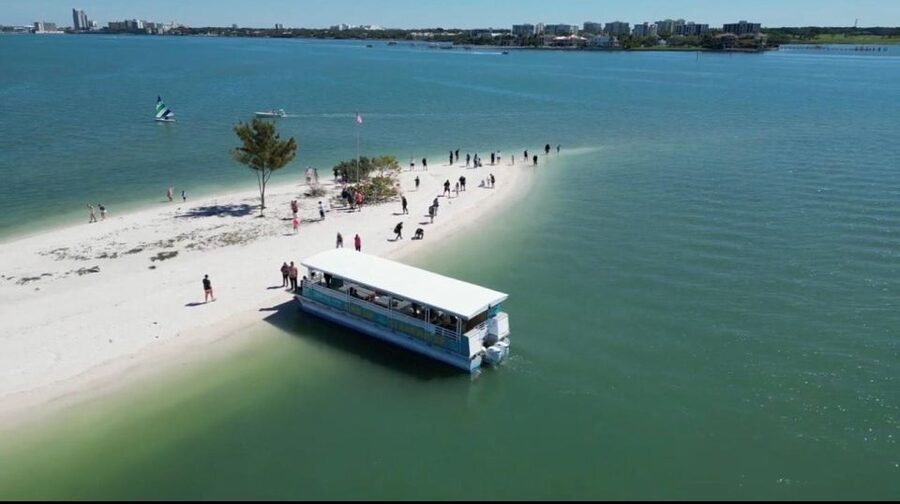Clearwater Beach: Dolphin & Island Sandbar Cruise - Setting out from 25 Causeway Boulevard