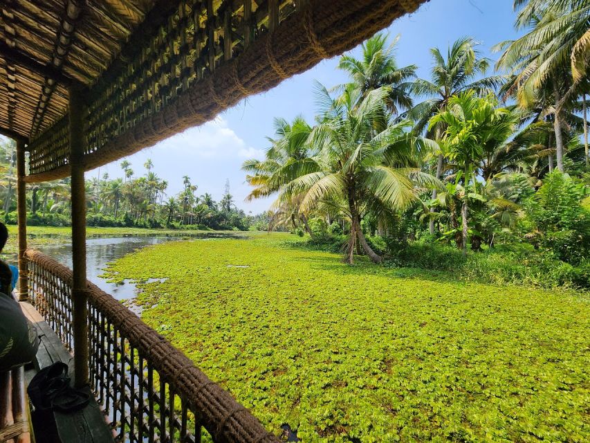 Cochin: Backwater Village Eco Boat Cruise with Lunch - Key points to know before you go