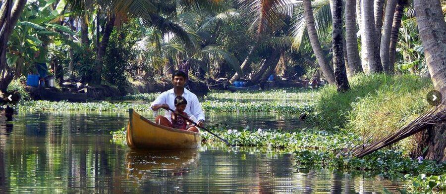 Cochin: Backwater Village Eco Boat Cruise with Lunch - Who will enjoy this backwater outing most