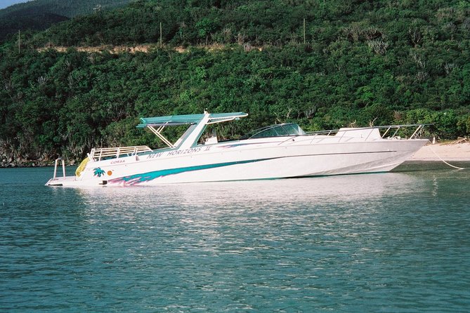Cocktail Sunset Cruise from Sapphire Beach Resort - Booking details worth checking