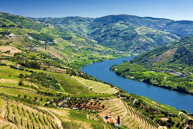 Complete Douro Valley Wine Tour with Lunch, Wine Tastings and River Cruise - Timing, pickup, and what to plan around