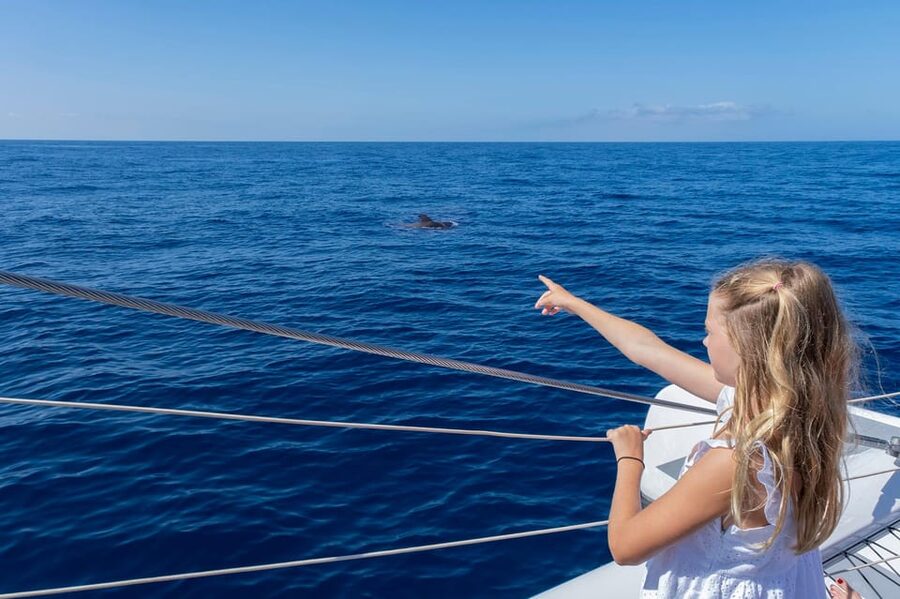 Costa Adeje: Masca and Los Gigantes Whale Watching Cruise - What the 4.5 hours feel like